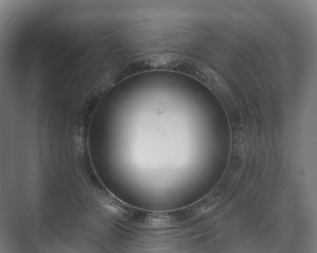 X0000073520510200608071125