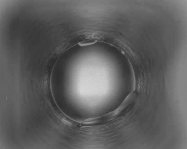 X0000073520513200608071125