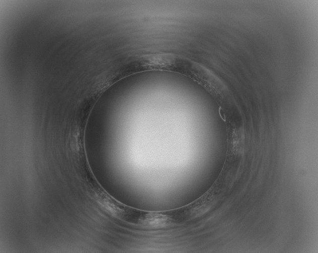 X0000073520514200608071125
