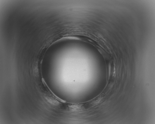 X0000073520516200608071125