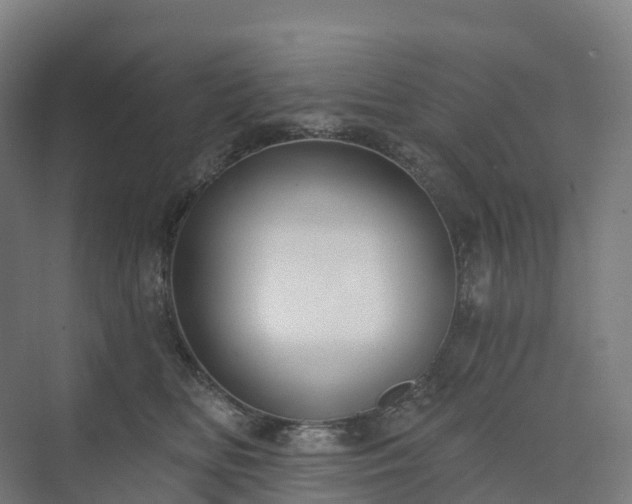 X0000073520518200608071125
