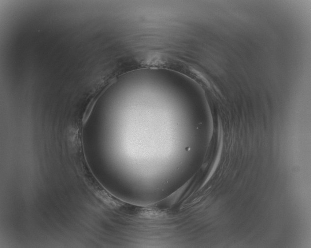 X0000073520521200608071125