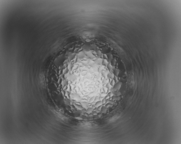X0000073520523200608071125