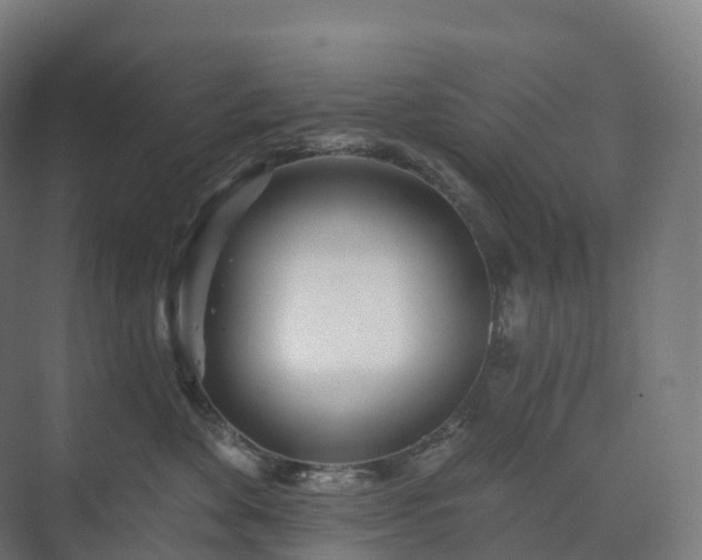 X0000073520524200608071125