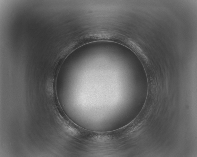 X0000073520537200608071124