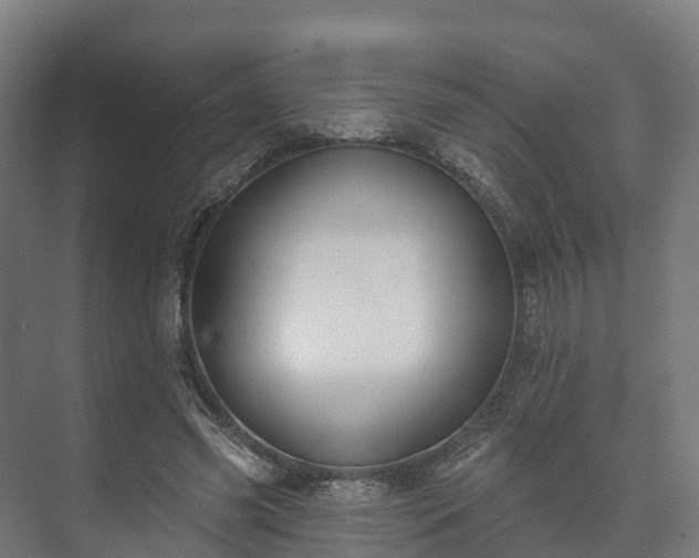 X0000073520541200608071124