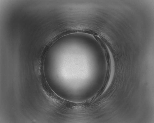 X0000073520544200608071124
