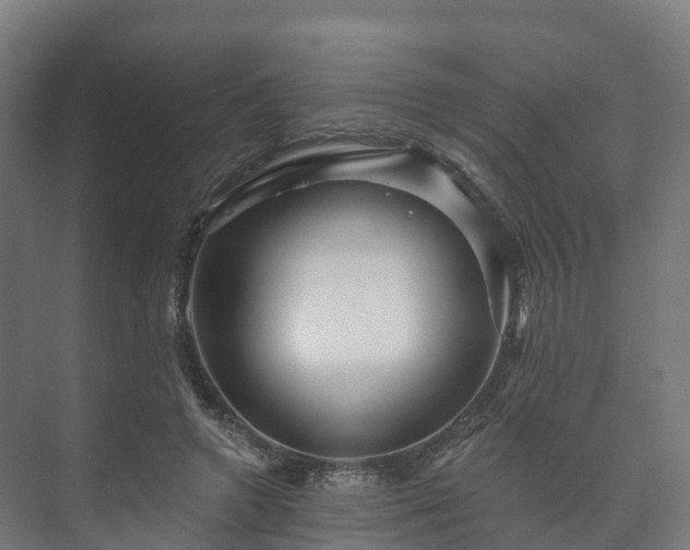 X0000073520546200608071124
