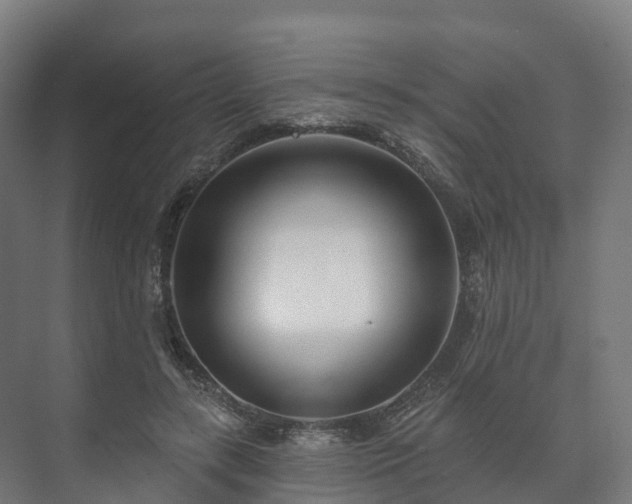 X0000073520547200608071124