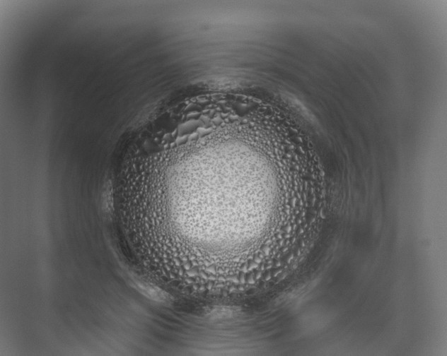 X0000073520549200608071124