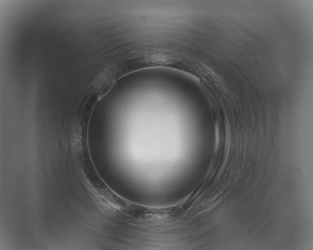 X0000073520552200608071124