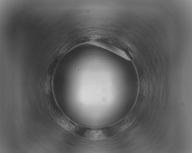 X0000073520554200608071124