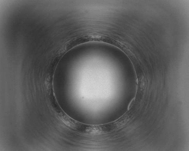 X0000073520559200608071124