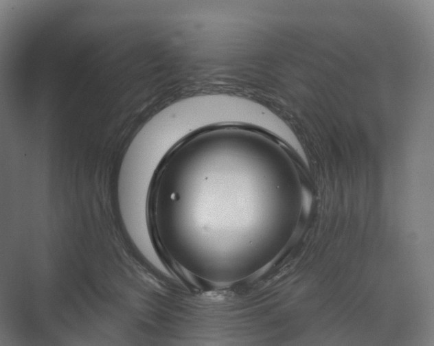 X0000073520566200608071124