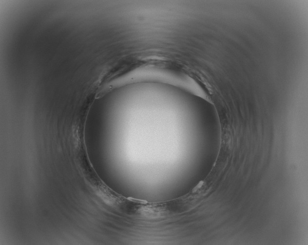 X0000073520568200608071125