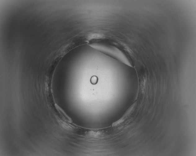 X0000073520570200608071125