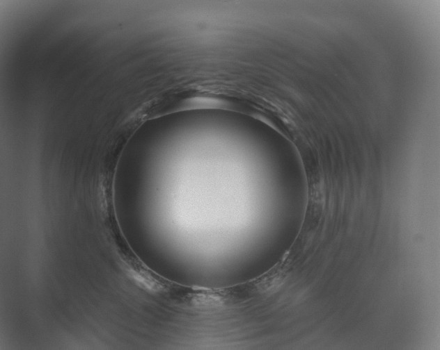 X0000073520572200608071125