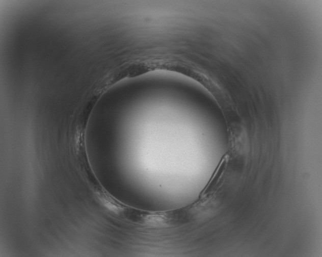 X0000073520574200608071125