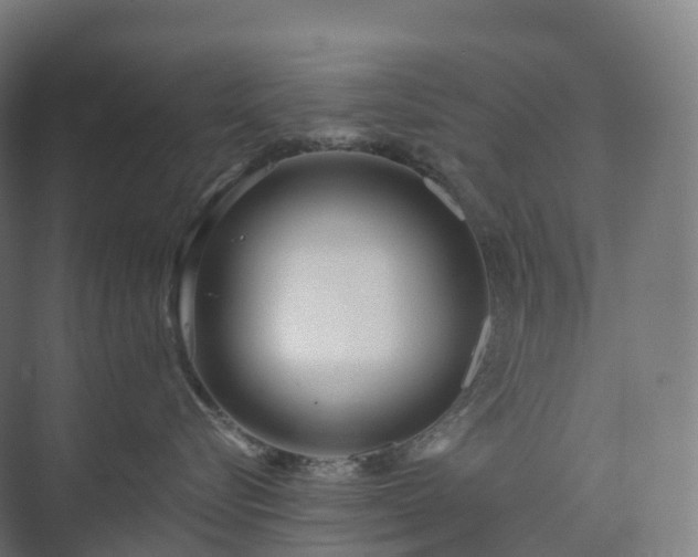 X0000073520576200608071125