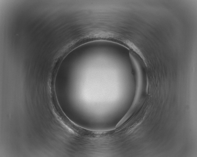 X0000073520581200608071124