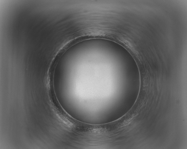 X0000073520584200608071124