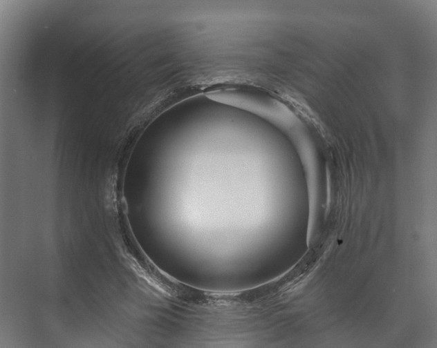 X0000073520585200608071124