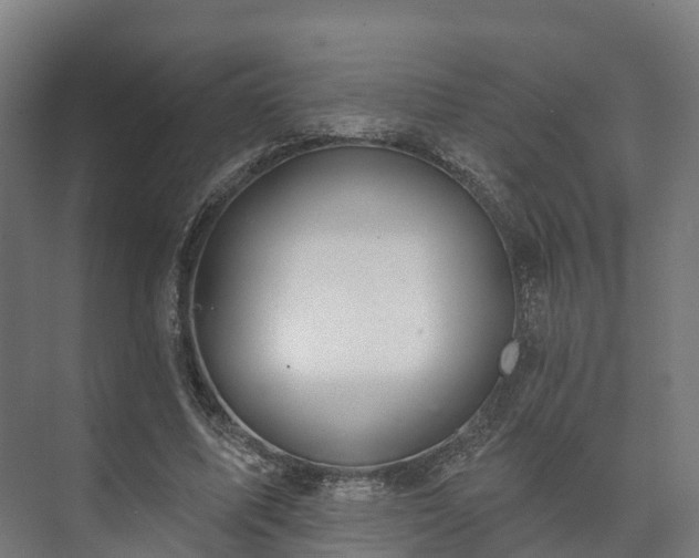 X0000073520587200608071124