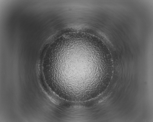 X0000073520590200608071124