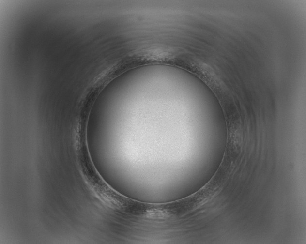 X0000073520591200608071124