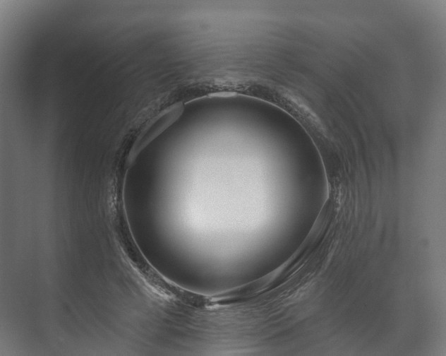 X0000073520593200608071124