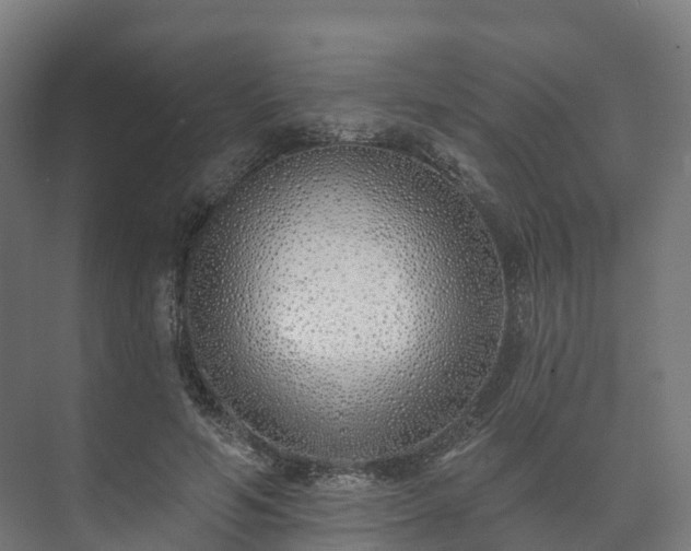 X0000073520594200608071124