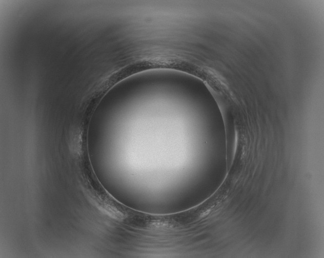 X0000073520596200608071123