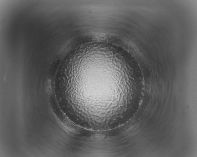 X0000073520598200608071123