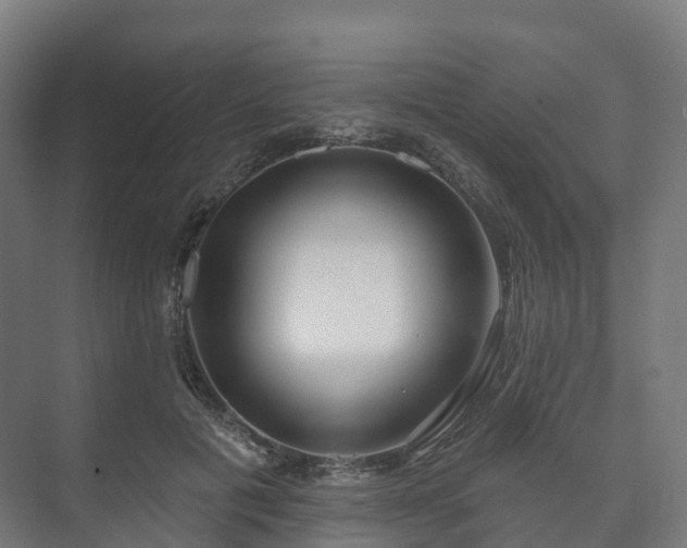 X0000073520601200608071123