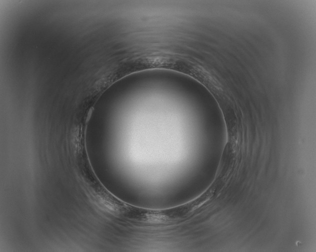 X0000073520605200608071123