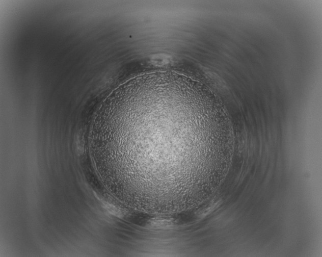 X0000073520606200608071123