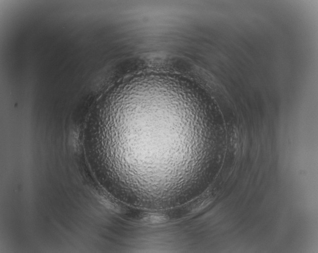 X0000073520610200608071123
