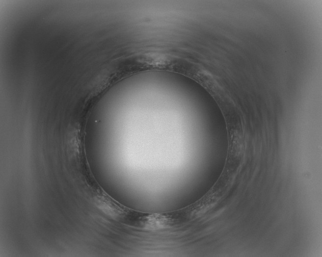 X0000073520612200608071123