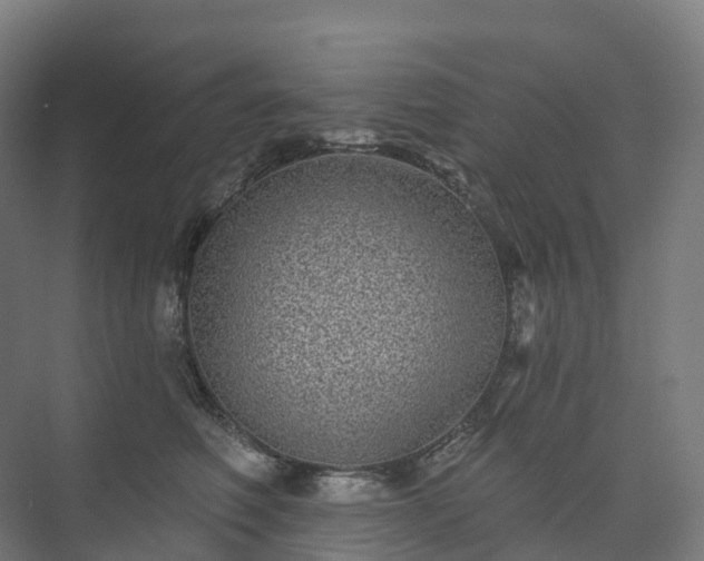 X0000073520614200608071123