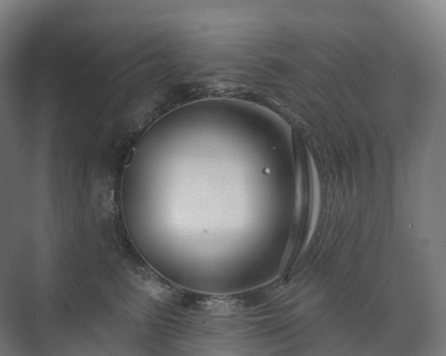 X0000073520615200608071123