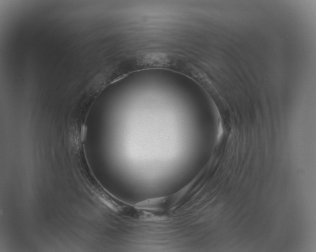 X0000073520617200608071123