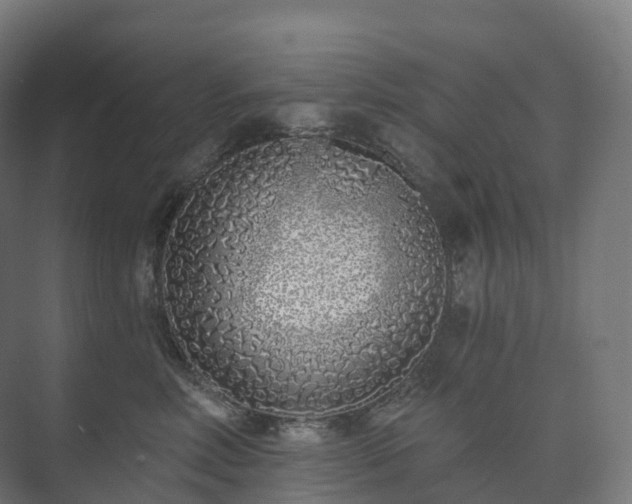 X0000073520618200608071123