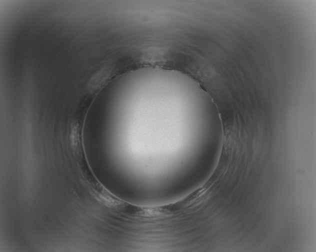 X0000073520623200608071123
