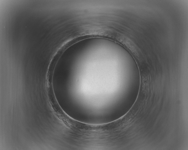 X0000073520628200608071122