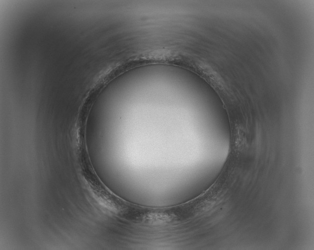X0000073520636200608071122