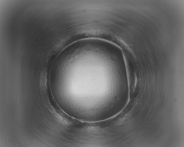 X0000073520637200608071122