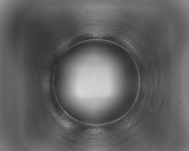 X0000073520639200608071122