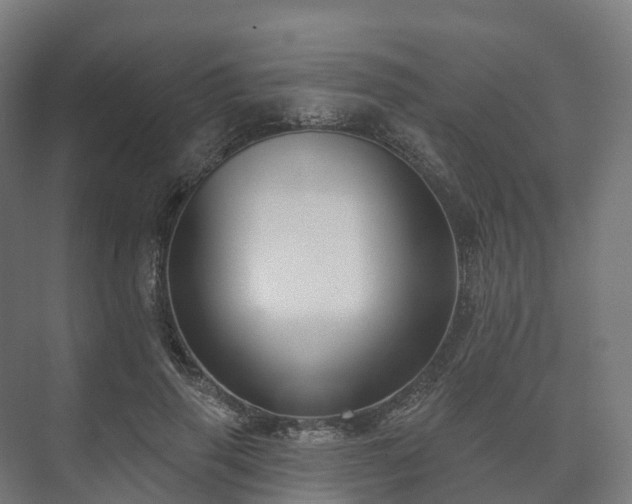 X0000073520645200608071123