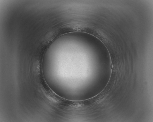 X0000073520646200608071123