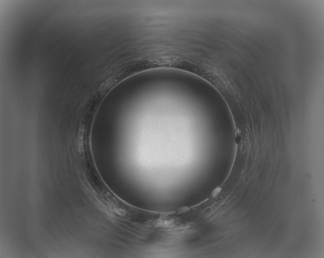 X0000073520647200608071123